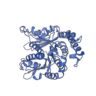 40220_8glv_R8_v1-2
96-nm repeat unit of doublet microtubules from Chlamydomonas reinhardtii flagella