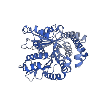 40220_8glv_R9_v1-2
96-nm repeat unit of doublet microtubules from Chlamydomonas reinhardtii flagella