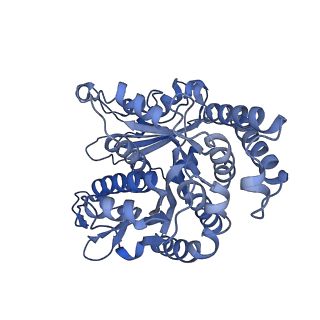 40220_8glv_S0_v1-2
96-nm repeat unit of doublet microtubules from Chlamydomonas reinhardtii flagella
