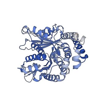 40220_8glv_S1_v1-2
96-nm repeat unit of doublet microtubules from Chlamydomonas reinhardtii flagella