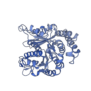 40220_8glv_S2_v1-2
96-nm repeat unit of doublet microtubules from Chlamydomonas reinhardtii flagella