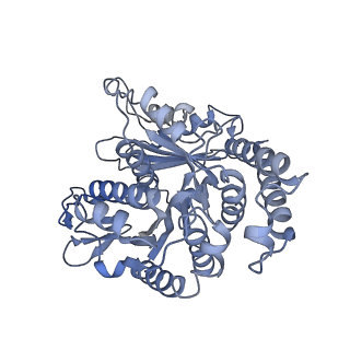 40220_8glv_S4_v1-2
96-nm repeat unit of doublet microtubules from Chlamydomonas reinhardtii flagella