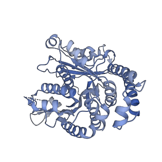 40220_8glv_S5_v1-2
96-nm repeat unit of doublet microtubules from Chlamydomonas reinhardtii flagella