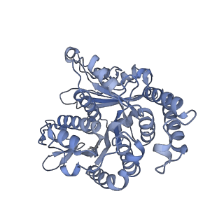 40220_8glv_S6_v1-2
96-nm repeat unit of doublet microtubules from Chlamydomonas reinhardtii flagella