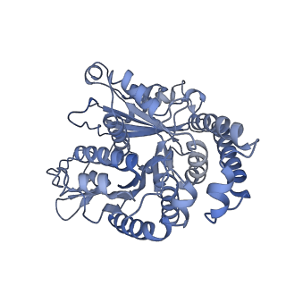 40220_8glv_S7_v1-2
96-nm repeat unit of doublet microtubules from Chlamydomonas reinhardtii flagella