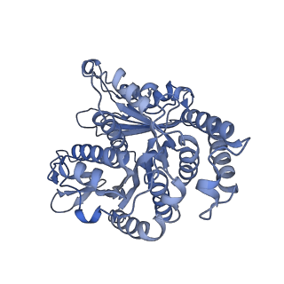 40220_8glv_S8_v1-2
96-nm repeat unit of doublet microtubules from Chlamydomonas reinhardtii flagella