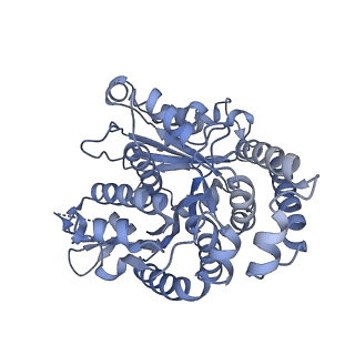 40220_8glv_S9_v1-2
96-nm repeat unit of doublet microtubules from Chlamydomonas reinhardtii flagella