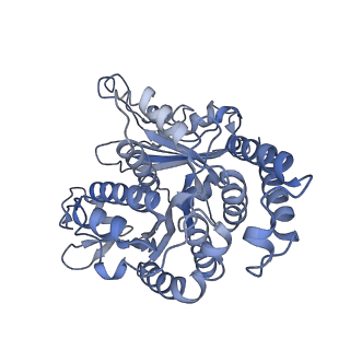40220_8glv_T0_v1-2
96-nm repeat unit of doublet microtubules from Chlamydomonas reinhardtii flagella