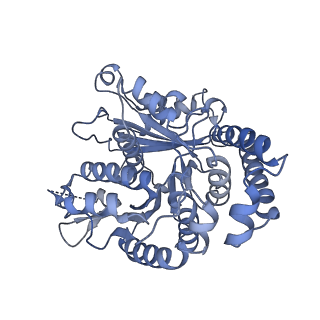 40220_8glv_T1_v1-2
96-nm repeat unit of doublet microtubules from Chlamydomonas reinhardtii flagella