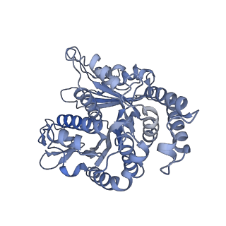 40220_8glv_T2_v1-2
96-nm repeat unit of doublet microtubules from Chlamydomonas reinhardtii flagella