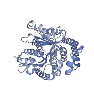 40220_8glv_T3_v1-2
96-nm repeat unit of doublet microtubules from Chlamydomonas reinhardtii flagella