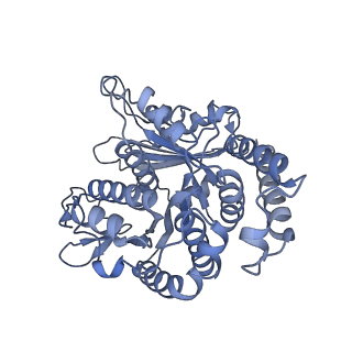 40220_8glv_T4_v1-2
96-nm repeat unit of doublet microtubules from Chlamydomonas reinhardtii flagella