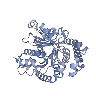 40220_8glv_T5_v1-2
96-nm repeat unit of doublet microtubules from Chlamydomonas reinhardtii flagella