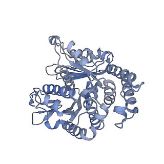 40220_8glv_T6_v1-2
96-nm repeat unit of doublet microtubules from Chlamydomonas reinhardtii flagella