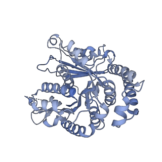 40220_8glv_T7_v1-2
96-nm repeat unit of doublet microtubules from Chlamydomonas reinhardtii flagella