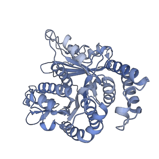 40220_8glv_T8_v1-2
96-nm repeat unit of doublet microtubules from Chlamydomonas reinhardtii flagella