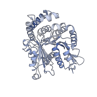 40220_8glv_U1_v1-2
96-nm repeat unit of doublet microtubules from Chlamydomonas reinhardtii flagella