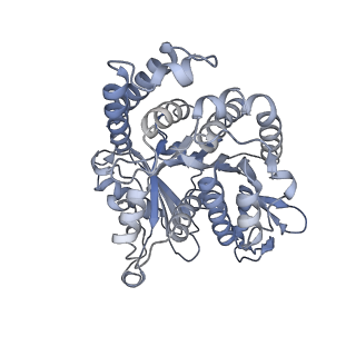 40220_8glv_U2_v1-2
96-nm repeat unit of doublet microtubules from Chlamydomonas reinhardtii flagella