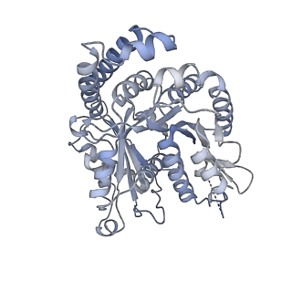 40220_8glv_U3_v1-2
96-nm repeat unit of doublet microtubules from Chlamydomonas reinhardtii flagella