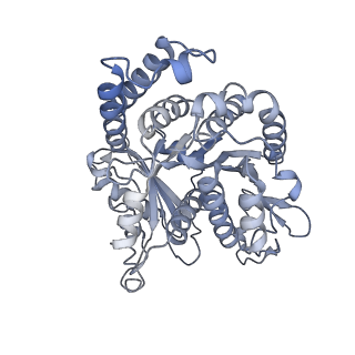 40220_8glv_U4_v1-2
96-nm repeat unit of doublet microtubules from Chlamydomonas reinhardtii flagella