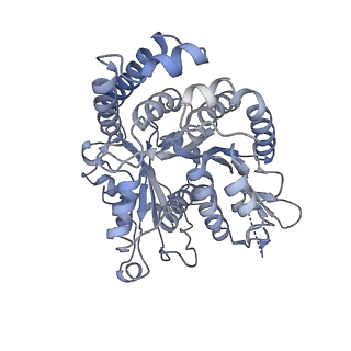 40220_8glv_U5_v1-2
96-nm repeat unit of doublet microtubules from Chlamydomonas reinhardtii flagella