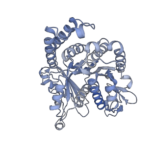 40220_8glv_U6_v1-2
96-nm repeat unit of doublet microtubules from Chlamydomonas reinhardtii flagella
