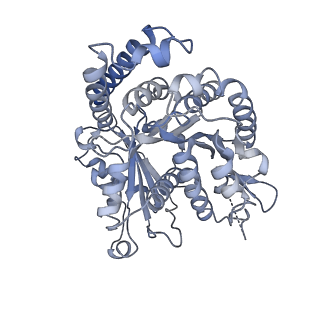40220_8glv_U7_v1-2
96-nm repeat unit of doublet microtubules from Chlamydomonas reinhardtii flagella