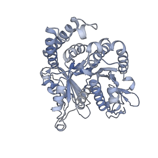 40220_8glv_U8_v1-2
96-nm repeat unit of doublet microtubules from Chlamydomonas reinhardtii flagella