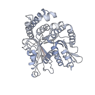 40220_8glv_U9_v1-2
96-nm repeat unit of doublet microtubules from Chlamydomonas reinhardtii flagella