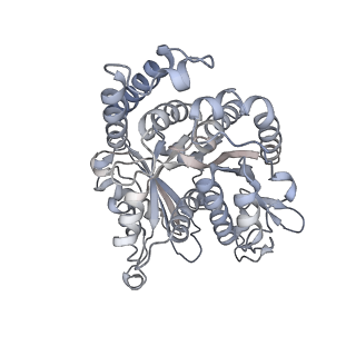 40220_8glv_V0_v1-2
96-nm repeat unit of doublet microtubules from Chlamydomonas reinhardtii flagella