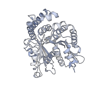 40220_8glv_V1_v1-2
96-nm repeat unit of doublet microtubules from Chlamydomonas reinhardtii flagella