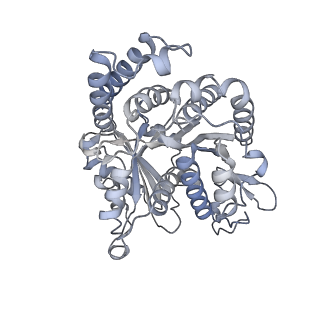 40220_8glv_V2_v1-2
96-nm repeat unit of doublet microtubules from Chlamydomonas reinhardtii flagella