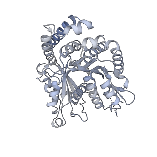 40220_8glv_V3_v1-2
96-nm repeat unit of doublet microtubules from Chlamydomonas reinhardtii flagella