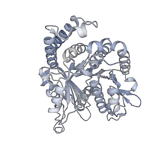 40220_8glv_V4_v1-2
96-nm repeat unit of doublet microtubules from Chlamydomonas reinhardtii flagella