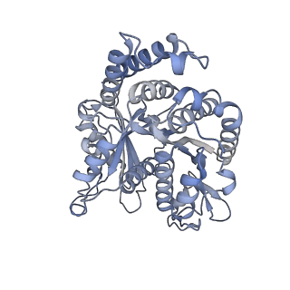 40220_8glv_V6_v1-2
96-nm repeat unit of doublet microtubules from Chlamydomonas reinhardtii flagella