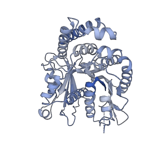 40220_8glv_V7_v1-2
96-nm repeat unit of doublet microtubules from Chlamydomonas reinhardtii flagella