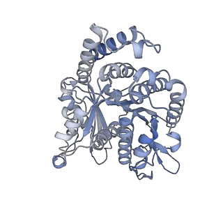 40220_8glv_V8_v1-2
96-nm repeat unit of doublet microtubules from Chlamydomonas reinhardtii flagella