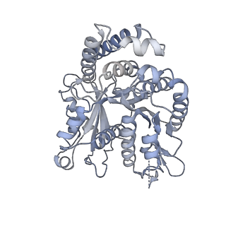 40220_8glv_V9_v1-2
96-nm repeat unit of doublet microtubules from Chlamydomonas reinhardtii flagella