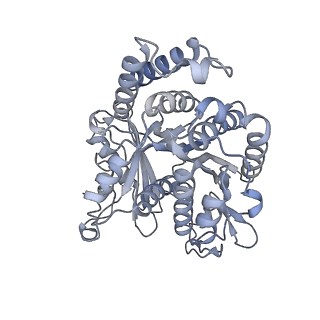 40220_8glv_W0_v1-2
96-nm repeat unit of doublet microtubules from Chlamydomonas reinhardtii flagella