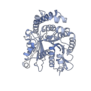 40220_8glv_W1_v1-2
96-nm repeat unit of doublet microtubules from Chlamydomonas reinhardtii flagella