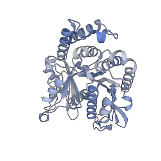 40220_8glv_W2_v1-2
96-nm repeat unit of doublet microtubules from Chlamydomonas reinhardtii flagella