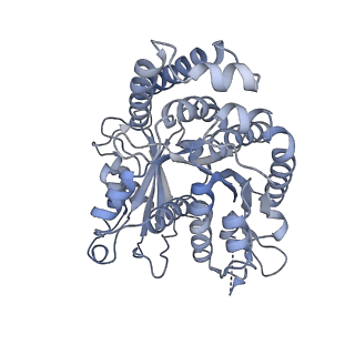 40220_8glv_W3_v1-2
96-nm repeat unit of doublet microtubules from Chlamydomonas reinhardtii flagella