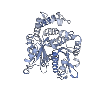 40220_8glv_W4_v1-2
96-nm repeat unit of doublet microtubules from Chlamydomonas reinhardtii flagella