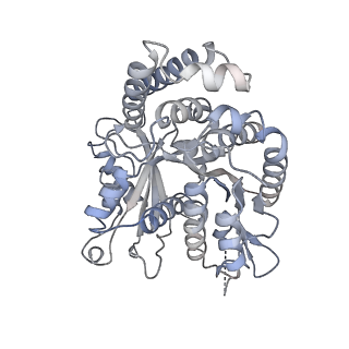 40220_8glv_W5_v1-2
96-nm repeat unit of doublet microtubules from Chlamydomonas reinhardtii flagella