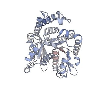 40220_8glv_W6_v1-2
96-nm repeat unit of doublet microtubules from Chlamydomonas reinhardtii flagella