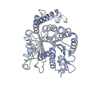 40220_8glv_W7_v1-2
96-nm repeat unit of doublet microtubules from Chlamydomonas reinhardtii flagella
