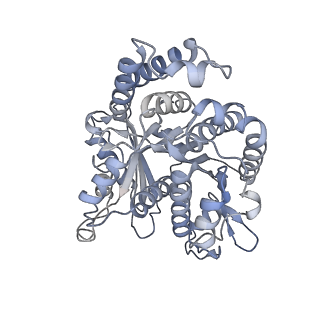 40220_8glv_W8_v1-2
96-nm repeat unit of doublet microtubules from Chlamydomonas reinhardtii flagella