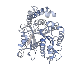 40220_8glv_W9_v1-2
96-nm repeat unit of doublet microtubules from Chlamydomonas reinhardtii flagella