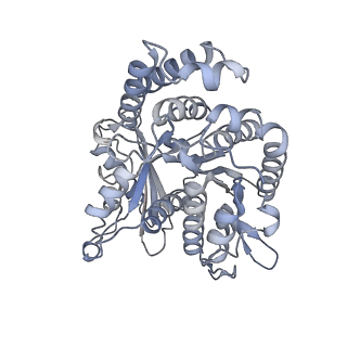 40220_8glv_X0_v1-2
96-nm repeat unit of doublet microtubules from Chlamydomonas reinhardtii flagella