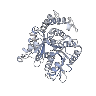 40220_8glv_X2_v1-2
96-nm repeat unit of doublet microtubules from Chlamydomonas reinhardtii flagella